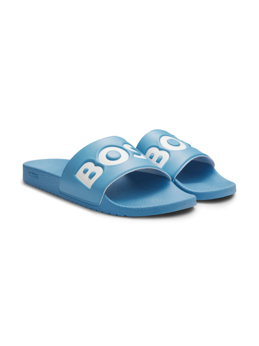 BOSS Slide - Aryeh_Slid_npvlg