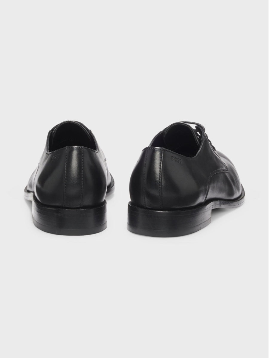 BOSS Derby - Tayil-L_Derb_buey