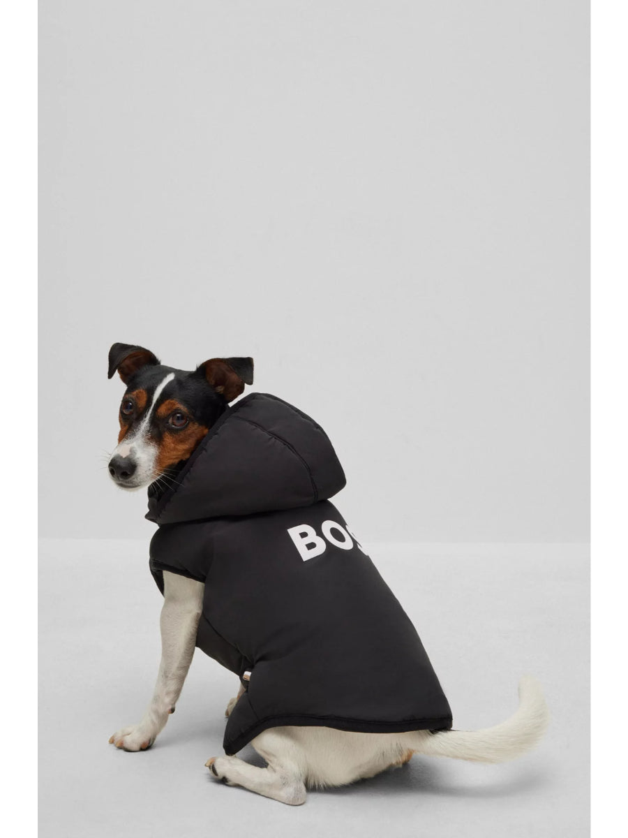 BOSS - Dog Vest