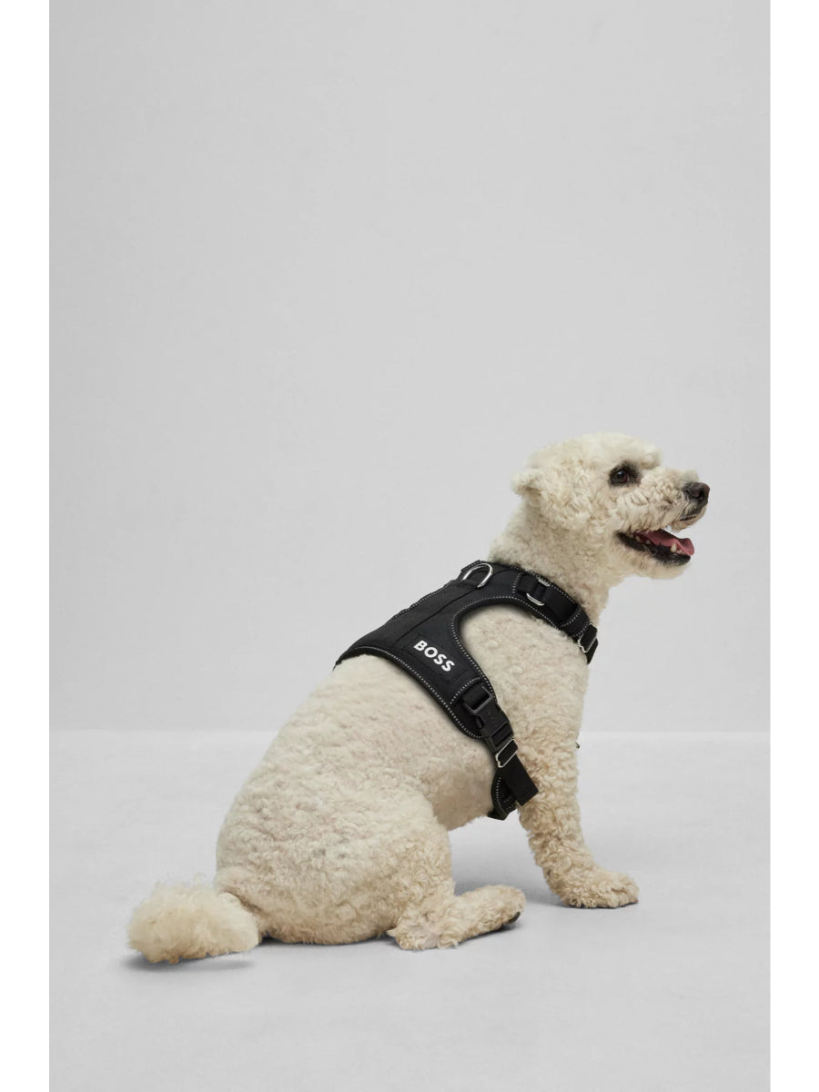 BOSS - Dog Harness